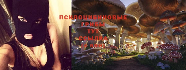 кокс Арсеньев